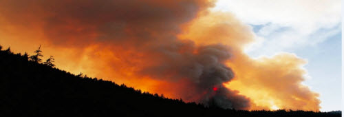 Forest fire.jpg