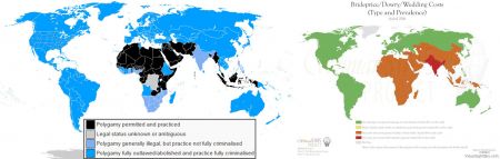 Maps comparing the global distributions of polygamy and of dowry systems
