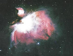 Nebulea fig 1.jpg